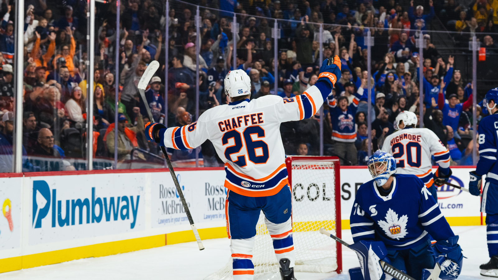 ISLANDERS RECALL CHAFFEE FROM HAMILTON
